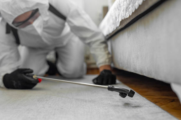 Professional Cockroach Control technician working in Sardis City, AL